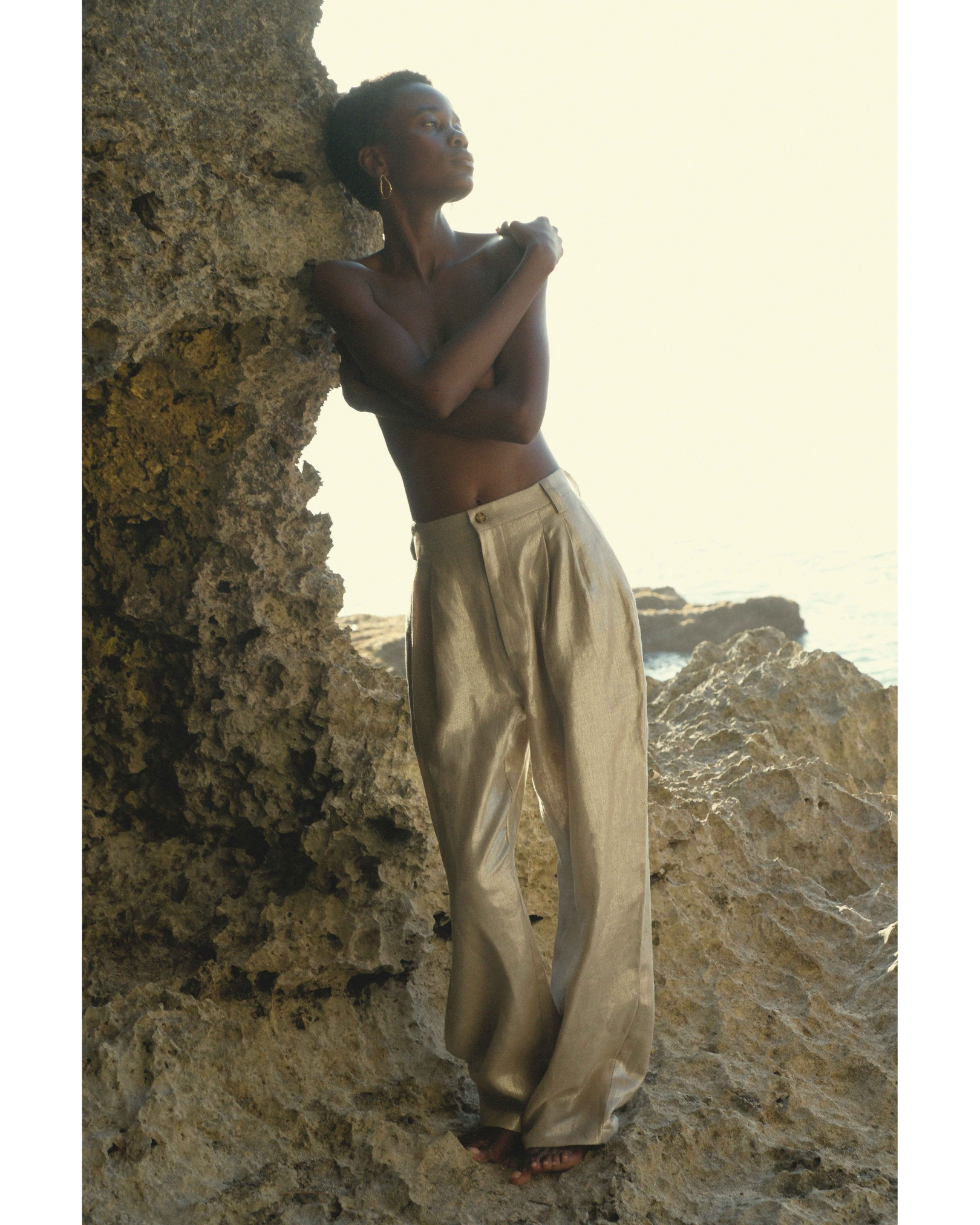 High-Waisted Pleated Trouser Pant in Champagne Shimmer Twill Linen
